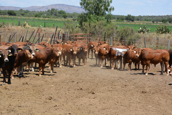40 mdp el ahorro, si suben de estatus