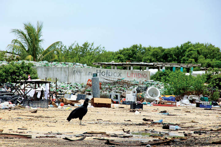 Peligra joya del Caribe