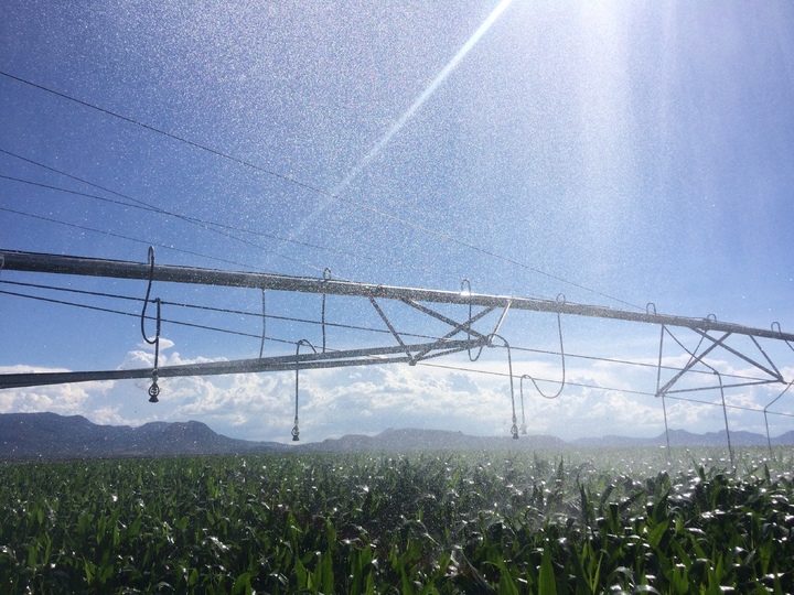 Moderniza Firco prácticas de riego en regiones agrícolas