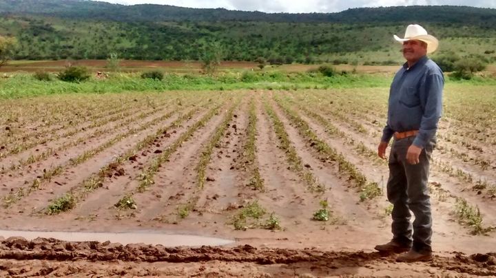 'Temprano', para el seguro catastrófico