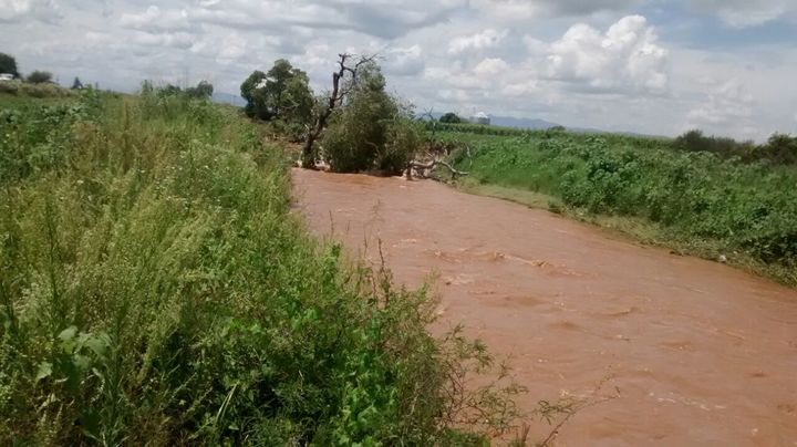 Reportan daños millonarios en el campo de Poanas