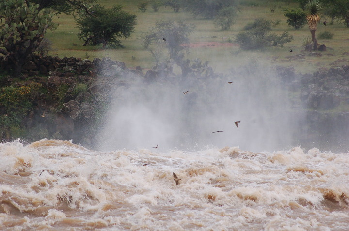 4 presas derraman y una más desfoga