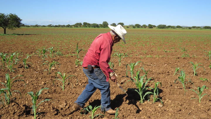 Preocupa recorte de recursos al campo