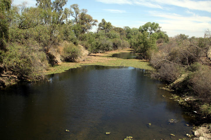 Sin recursos para hacer frente a contingencia: Sedesoe