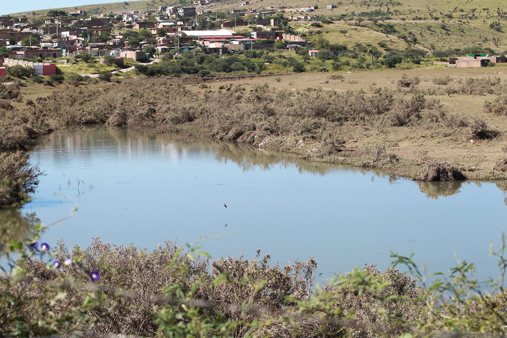 Se debe poner freno a invasiones: Canadevi