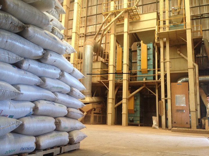 Todavía no hay ventas de frijol