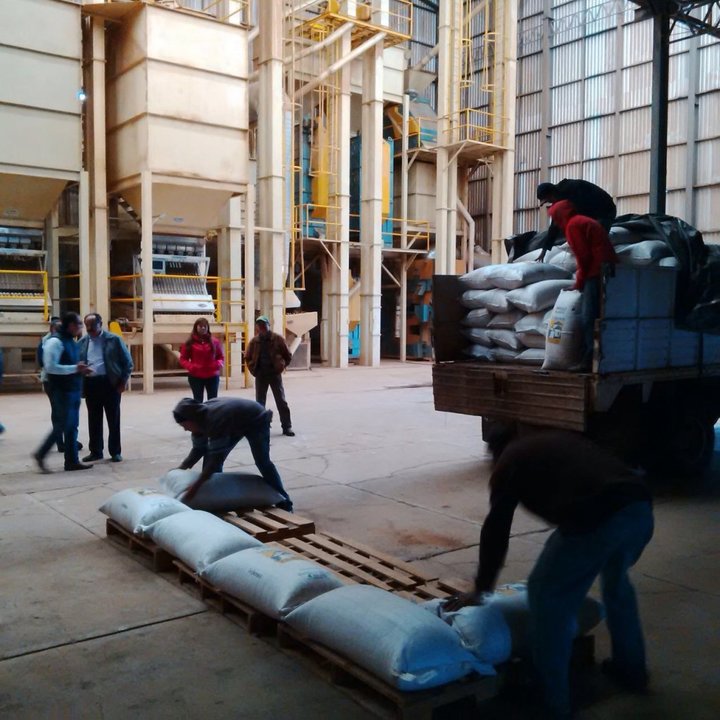 Acopiadores no recibirán grano