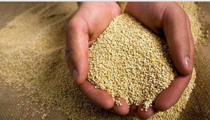 Piden auditoría a dirigencia de CNC