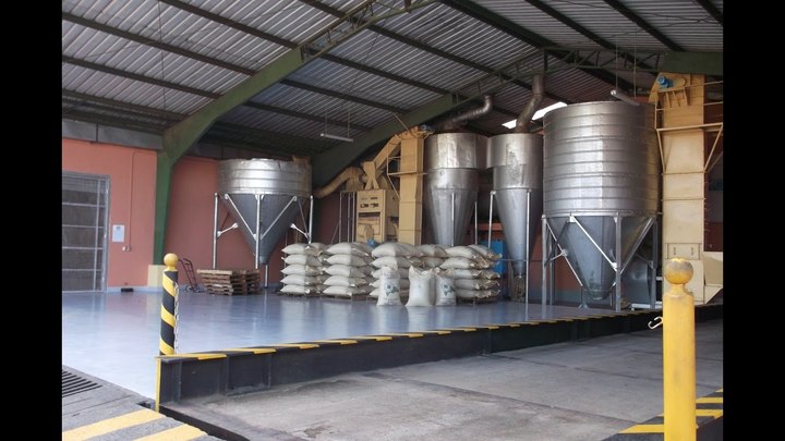 Oficial, esquema de comercialización