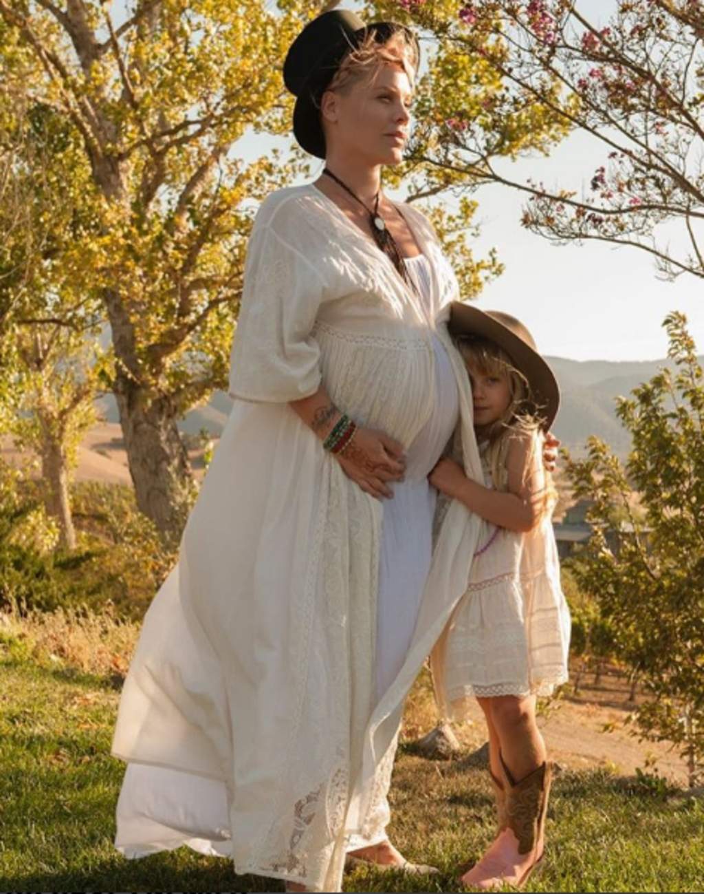 Pink se encuentra embarazada de su segundo hijo