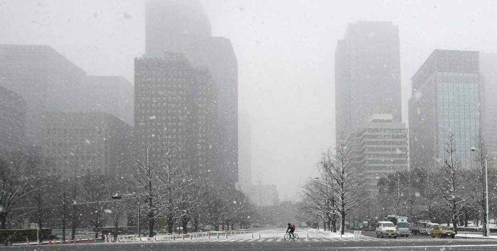 Cae sobre Tokio la primera nevada en noviembre en más de 50 años