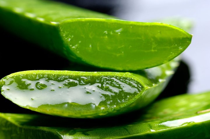 Aloe Vera ayuda a tu digestión