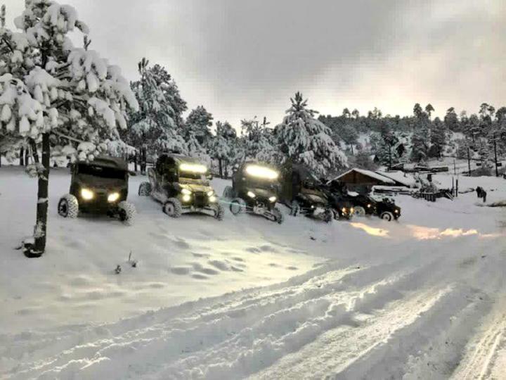 Suman 11 municipios nevados en Durango