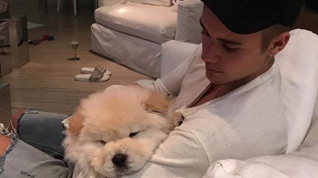Por cuarta vez, Bieber regala una mascota