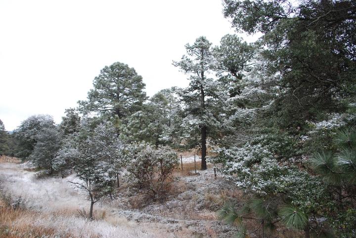 Pronostican posibles nevadas en Durango por tormenta invernal