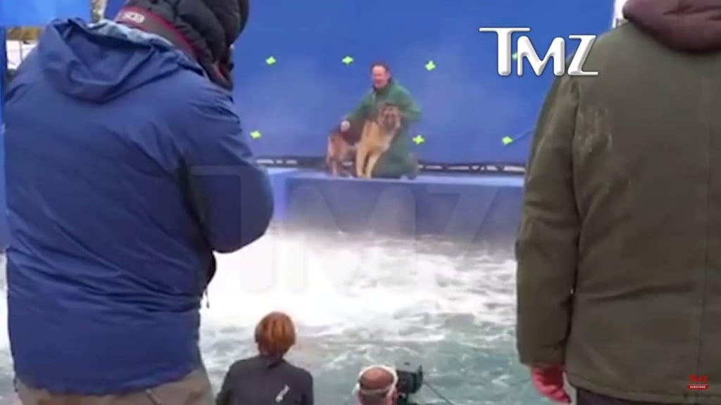 Evidencian maltrato animal durante filmación de película