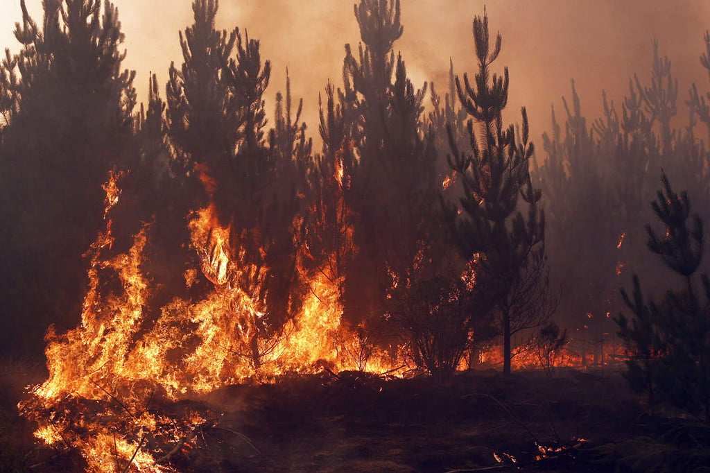 Envía México a Chile 48 expertos para combatir incendios forestales