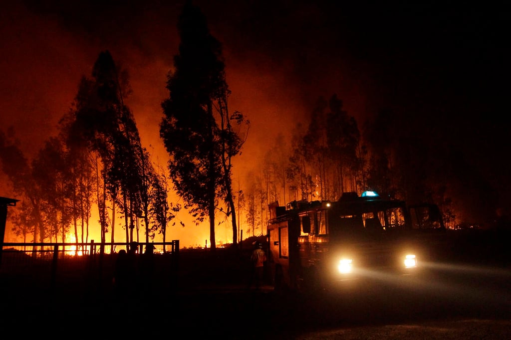 Son evacuadas por incendio 800 familias del sur de Chile