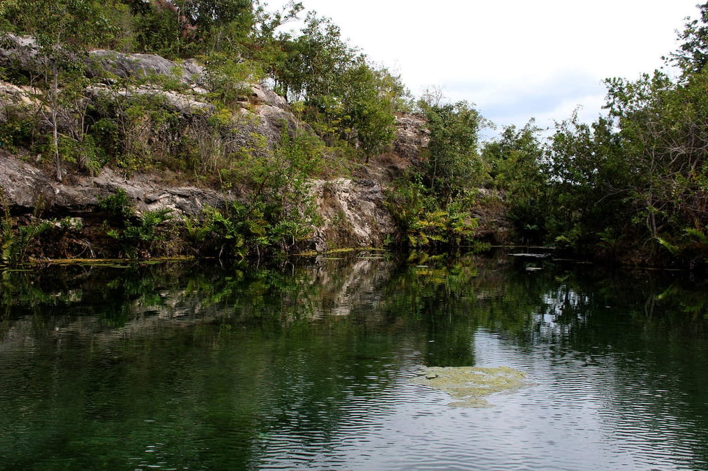 Urgen autoridades proteger manglares en México