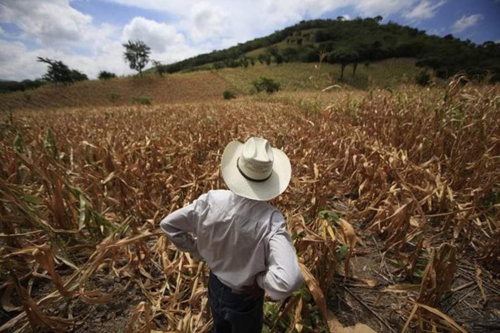 Invierte 4.3 mdd la Unión Europea para mitigar a 'El Niño' en Guatemala