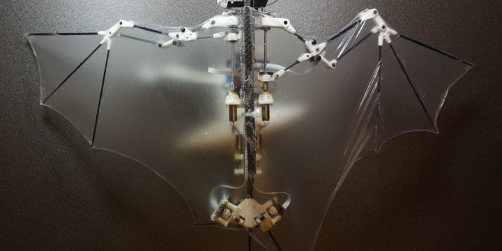 Bat Bot, el primer murciélago robot