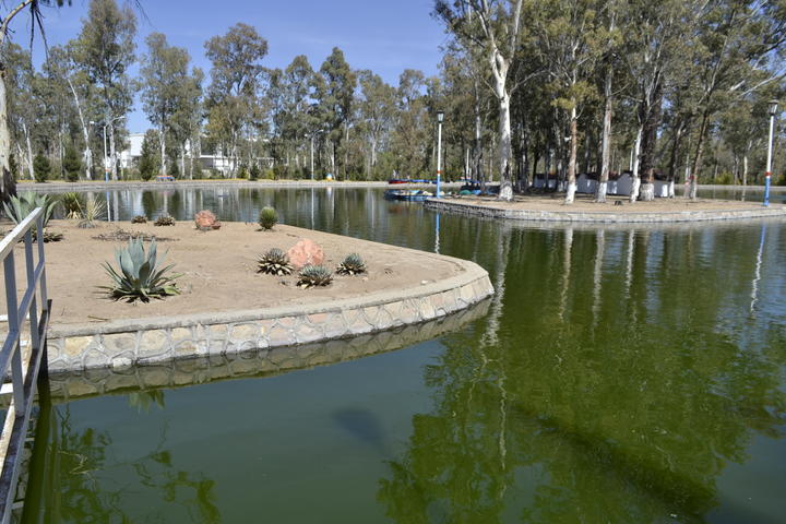 Alertan por muerte de peces en parque Sahuatoba