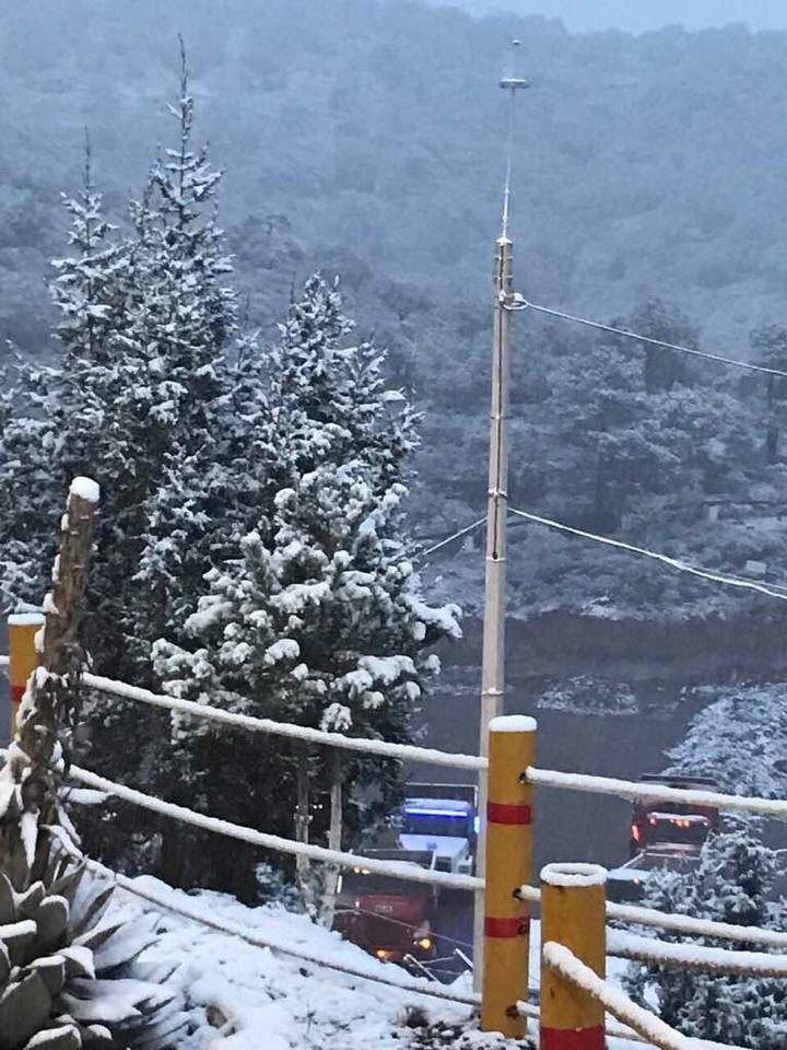 Alcanza nieve a 11 municipios de Durango