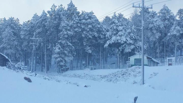 Descartan solicitar recursos del Fonden tras nevadas en Durango