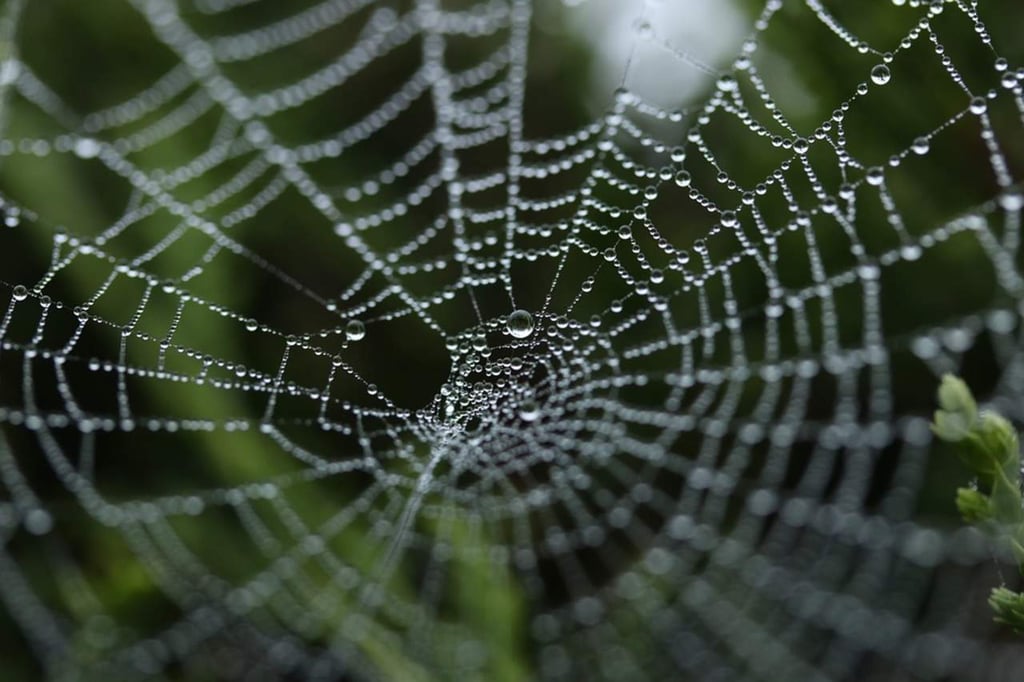Crean una tela de araña de material sintético