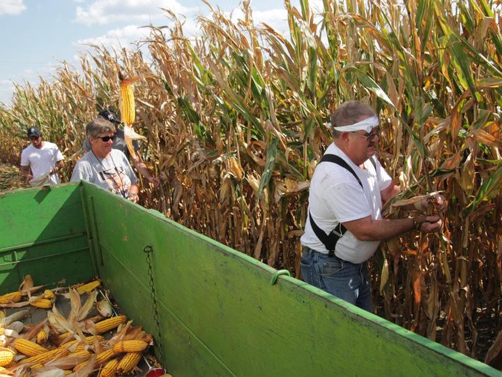 Corn farmers worry about Trump's potential 'trade war' with Mexico
