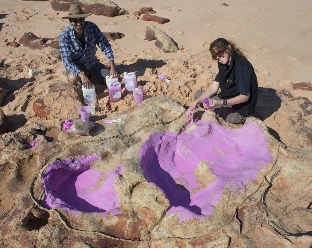 Identifican 150 huellas de 21 especies de dinosaurios en Australia