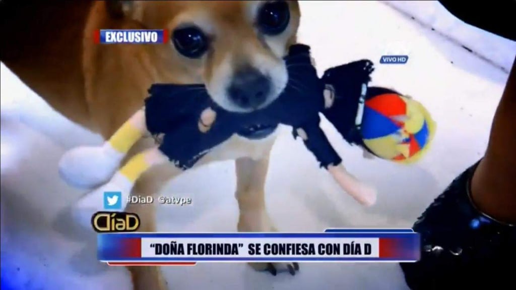Muñeco de 'Kiko' es juguete del perro de Florinda Meza