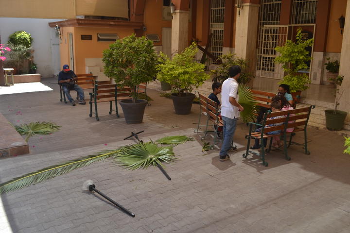 Arranca este día la Semana Santa con el Domingo de Ramos
