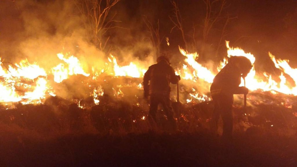 Bomberos combaten incendio en Jalisco