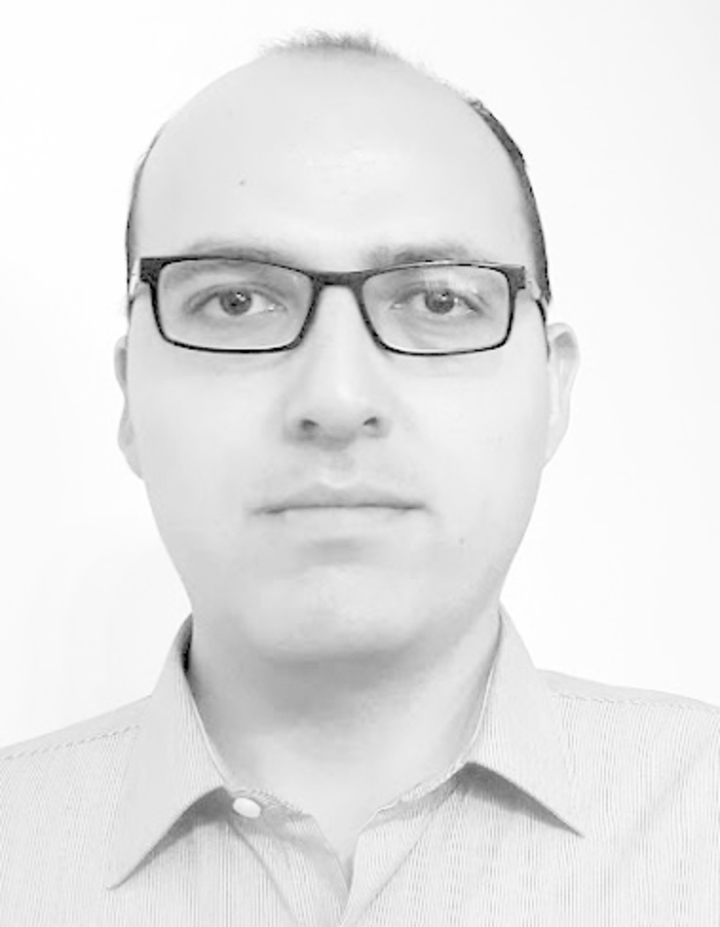 El escándalo de los delfines