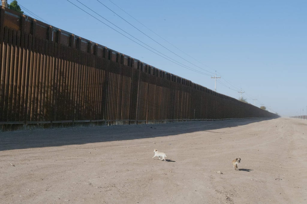 Según republicanos, presupuesto debe incluir muro fronterizo