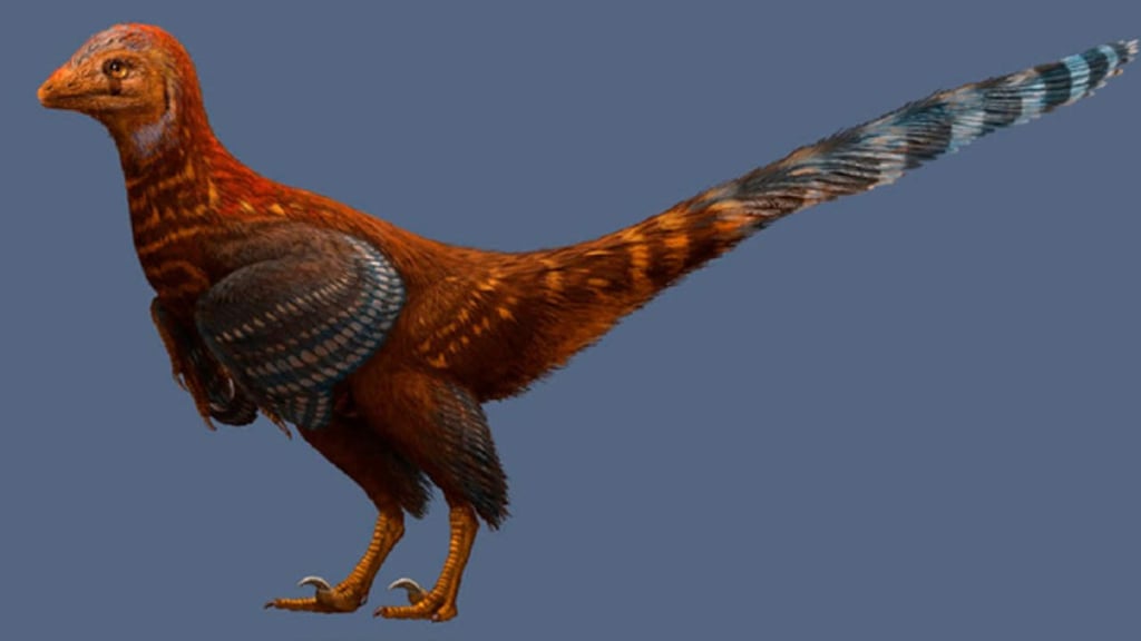 Descubren fósil de nueva especie de dinosaurio con plumas