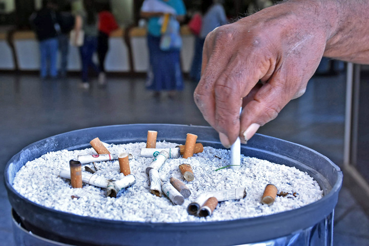 Cambiarán árboles por colillas de cigarro