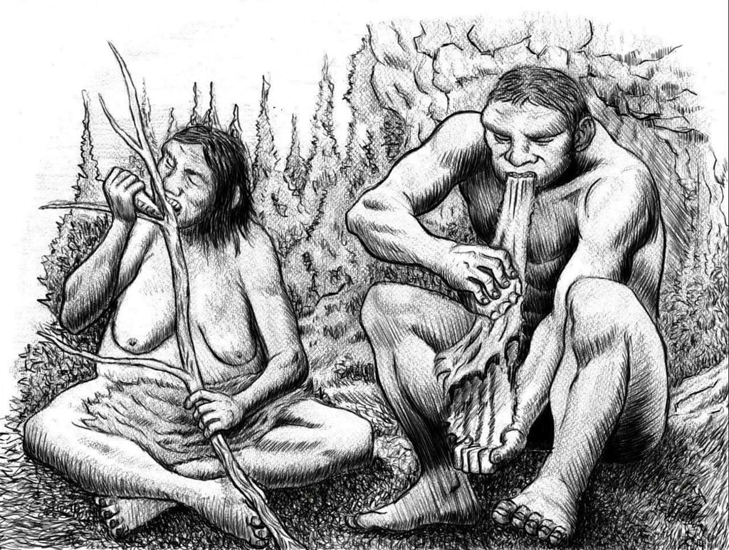 Neandertales seleccionaban el combustible para producir humo