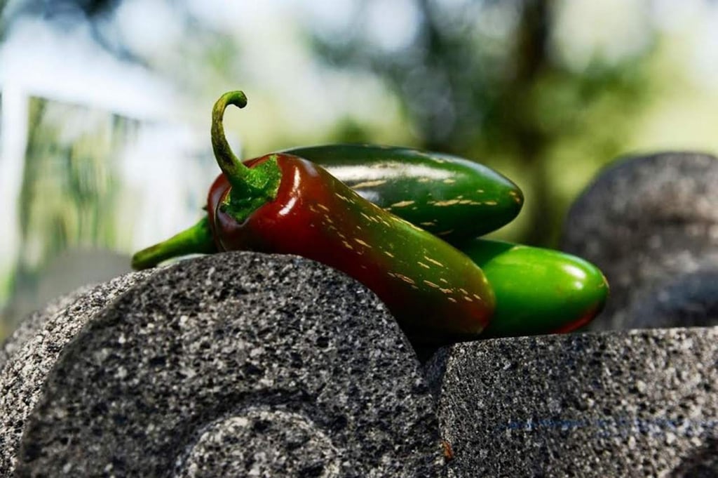 Variedades de chile que ayudan a prevenir enfermedades