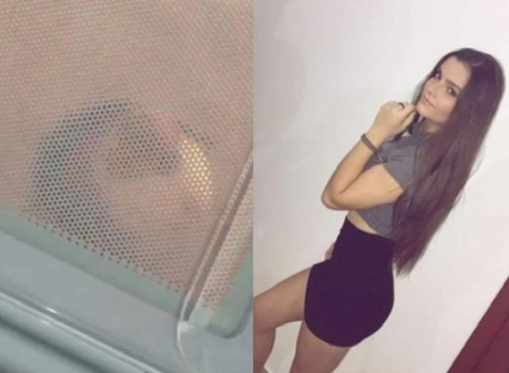 Metió a su hámster al horno de microondas, por ‘diversión’