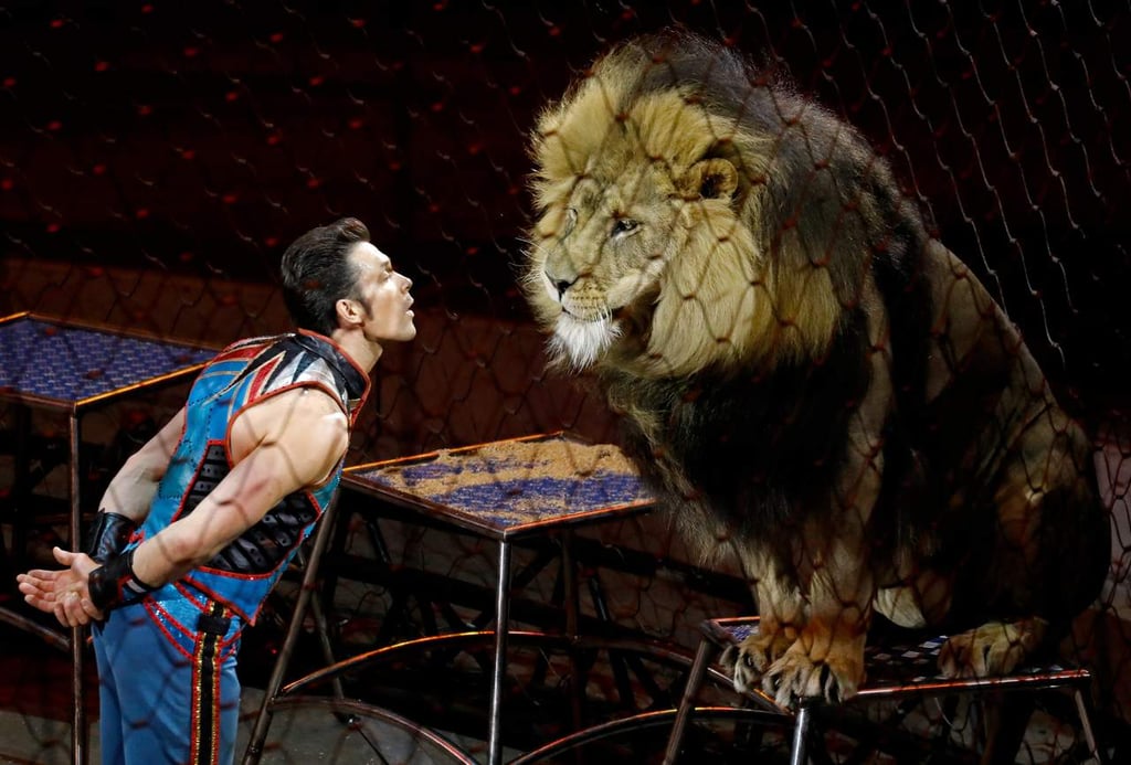 Ringling Bros baja el telón tras 146 años