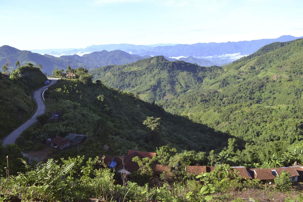 La sorprendente recuperación de los bosques vietnamitas