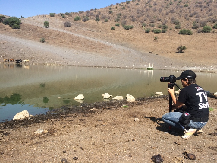 Milenarios testigos de la historia