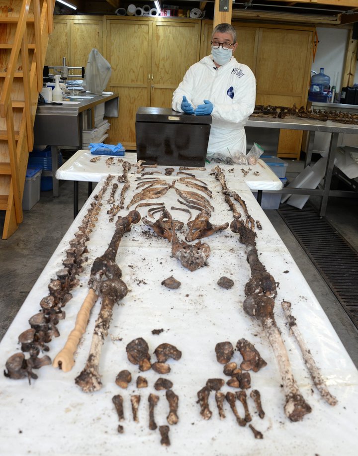 Intervienen restos de mártires de la Revolución