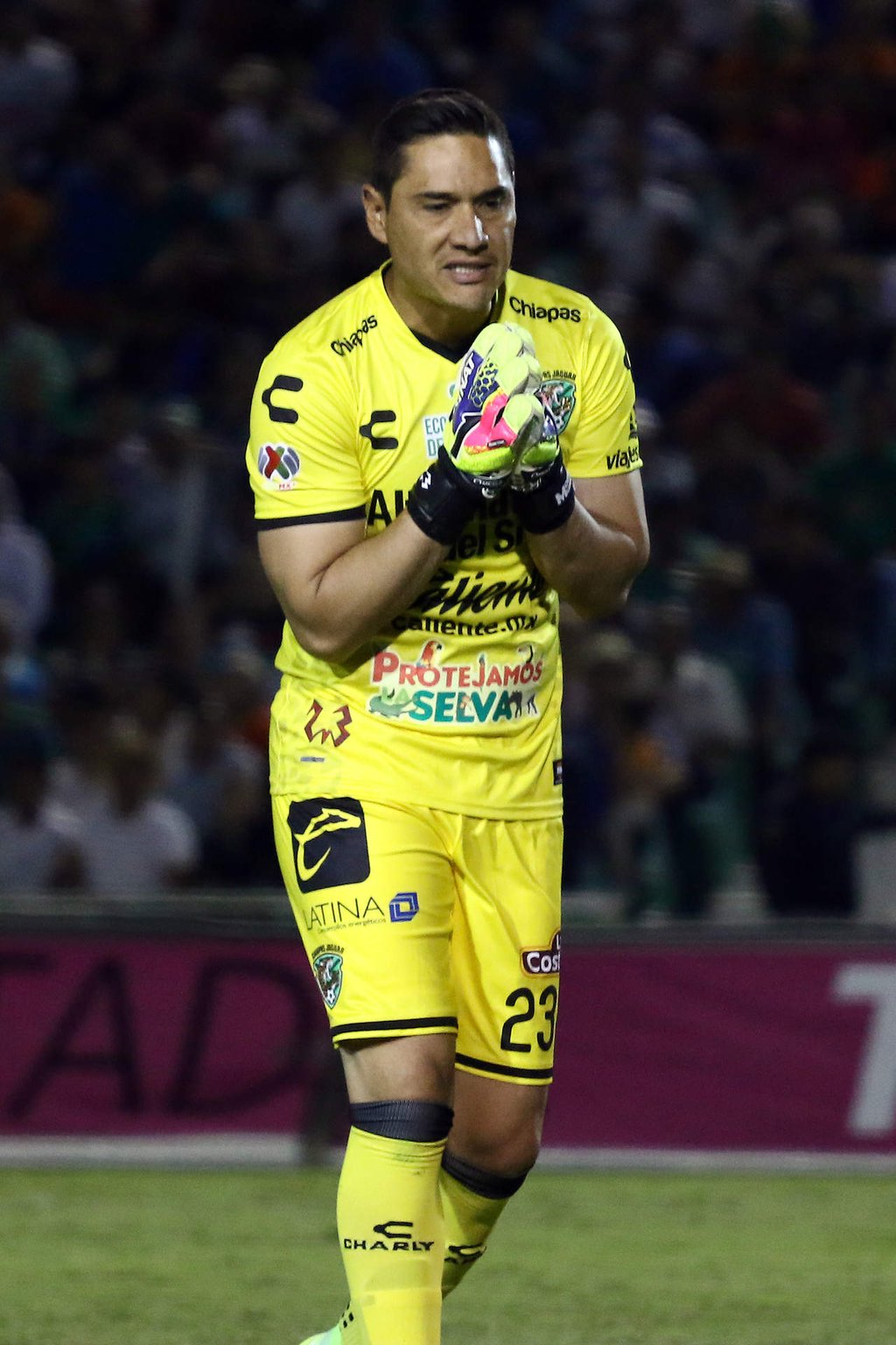 Moisés, cerca de La Franja