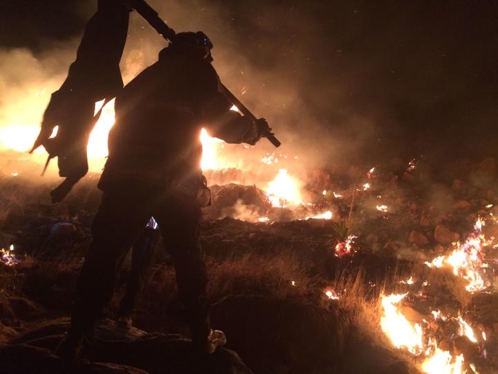 Incendio consume 15 hectáreas en Chupaderos