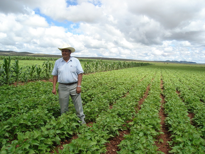 Gestionan financiamiento para productores agrícolas