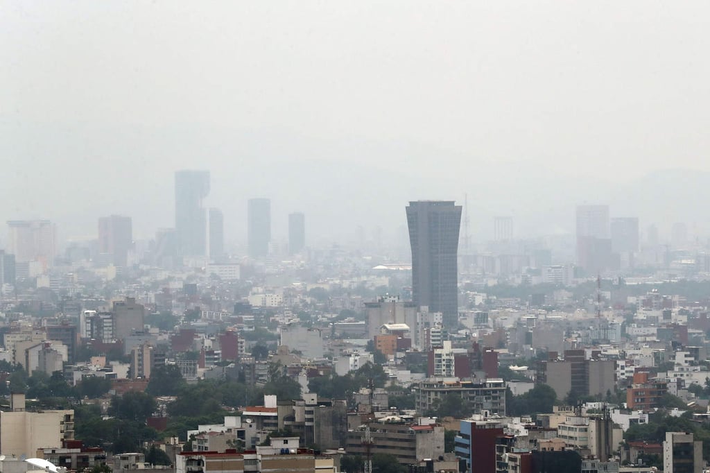 Contaminación también afecta a mascotas y plantas