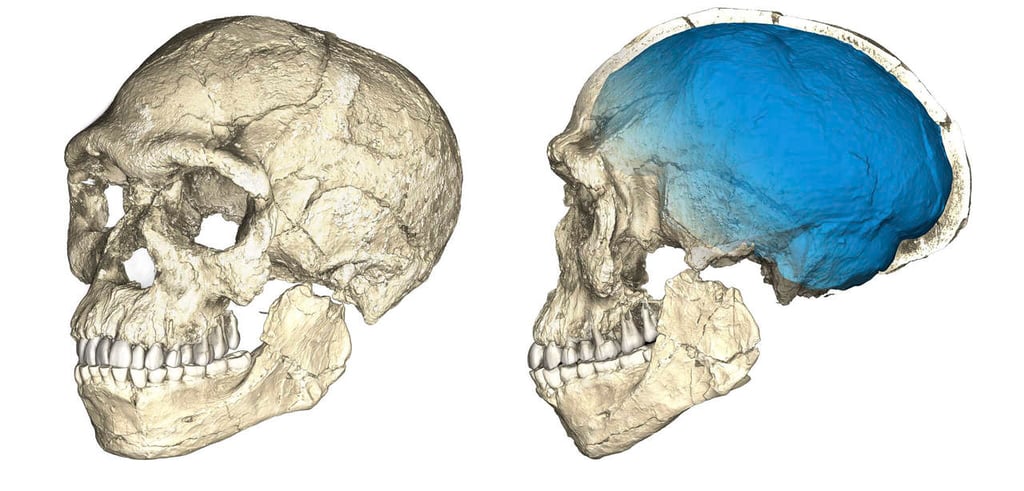 Hallan restos del homo sapiens más antiguo del mundo